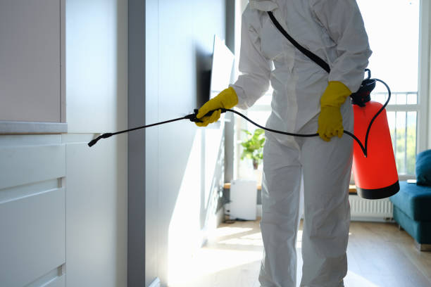 Best Specialized Mold Remediation in Mena, AR